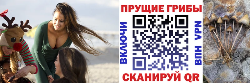цена наркотик  MEGA ссылки  Галлюциногенные грибы Psilocybe  Кодинск 